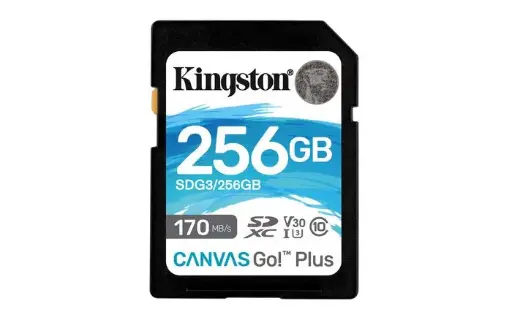 Kingston SD Card 256Gb